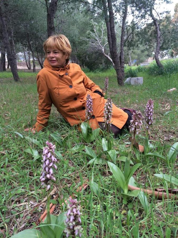 Orchidea Mattinata Parco Del Gargano Lejlighed Eksteriør billede